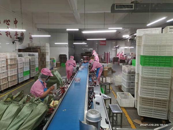 福建省疫情通知与长春最新动态，携手共筑防疫长城