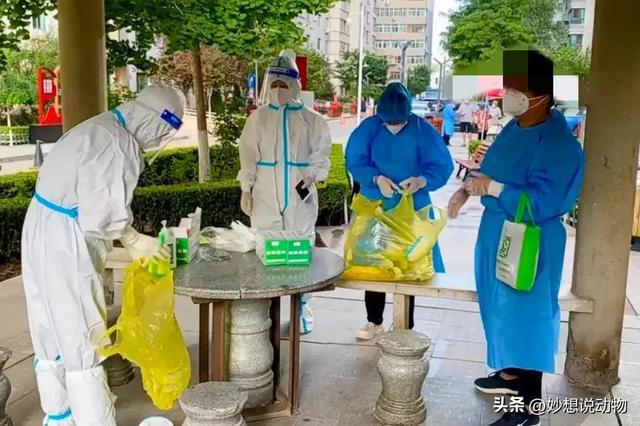 福建省疫情通知与兰州最新消息，两地防控措施与疫情动态分析