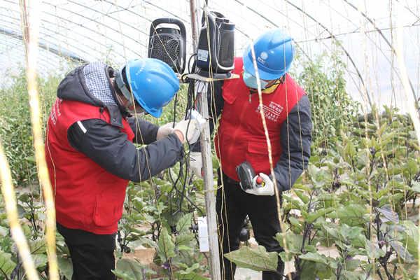 青海省疫情通知与西安最新动态，携手共筑防疫长城