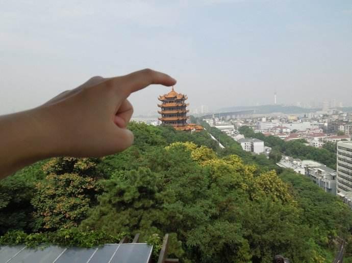 福建省疫情通知与拉萨最新动态，防控措施与旅游建议