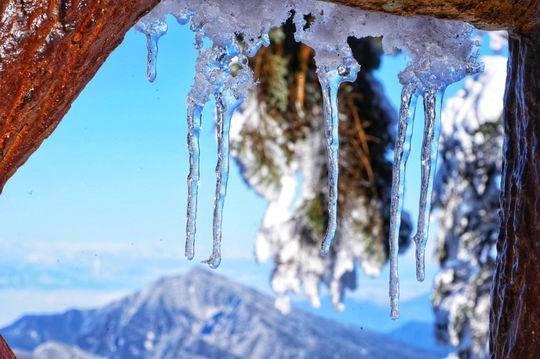 哈尔滨冰雕师高峰期日薪曝光，冰雪艺术背后的经济与文化双重魅力
