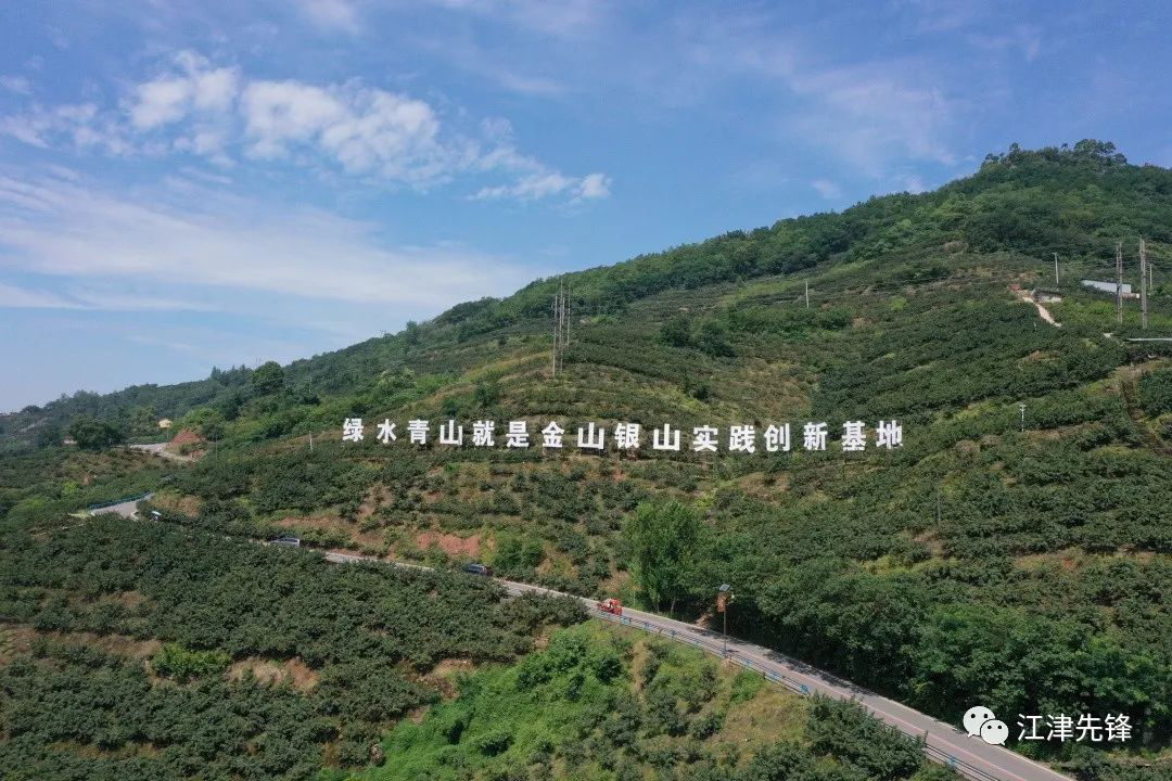 重庆市江津区龙华镇政府，推动乡村振兴的先锋力量