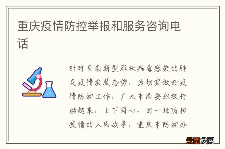 重庆疫情防控电话咨询，守护健康的温暖热线
