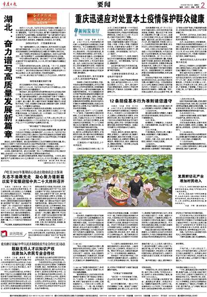 重庆疫病，历史、挑战与应对策略