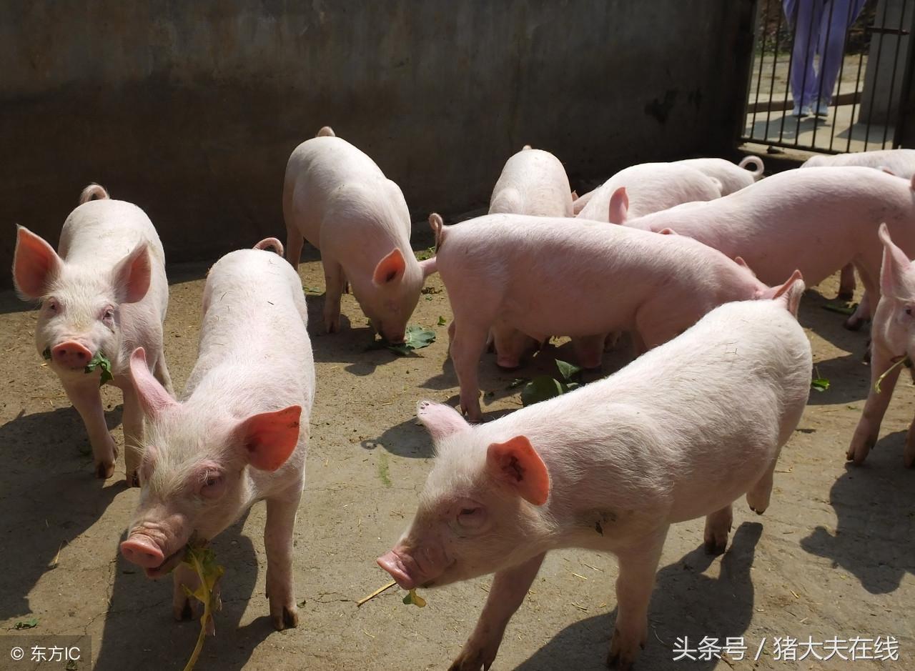 重庆市疫情形势与上海最新情况分析