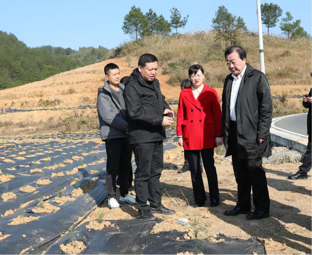 重庆疫情官方通知，全面加强防控，确保市民健康安全