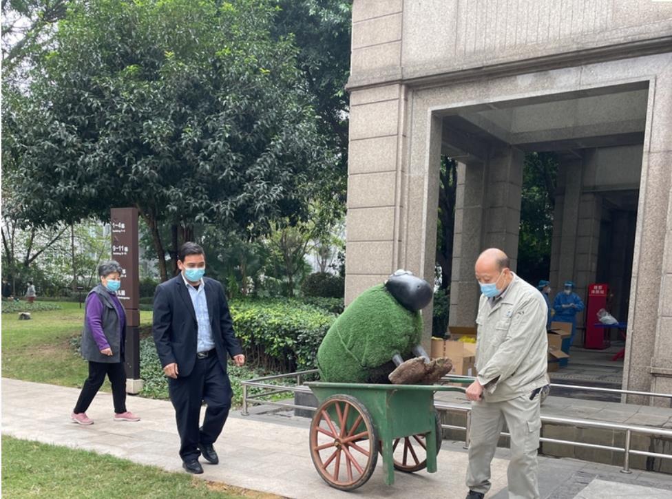 重庆市疫情报告与贵州省疫情情况分析