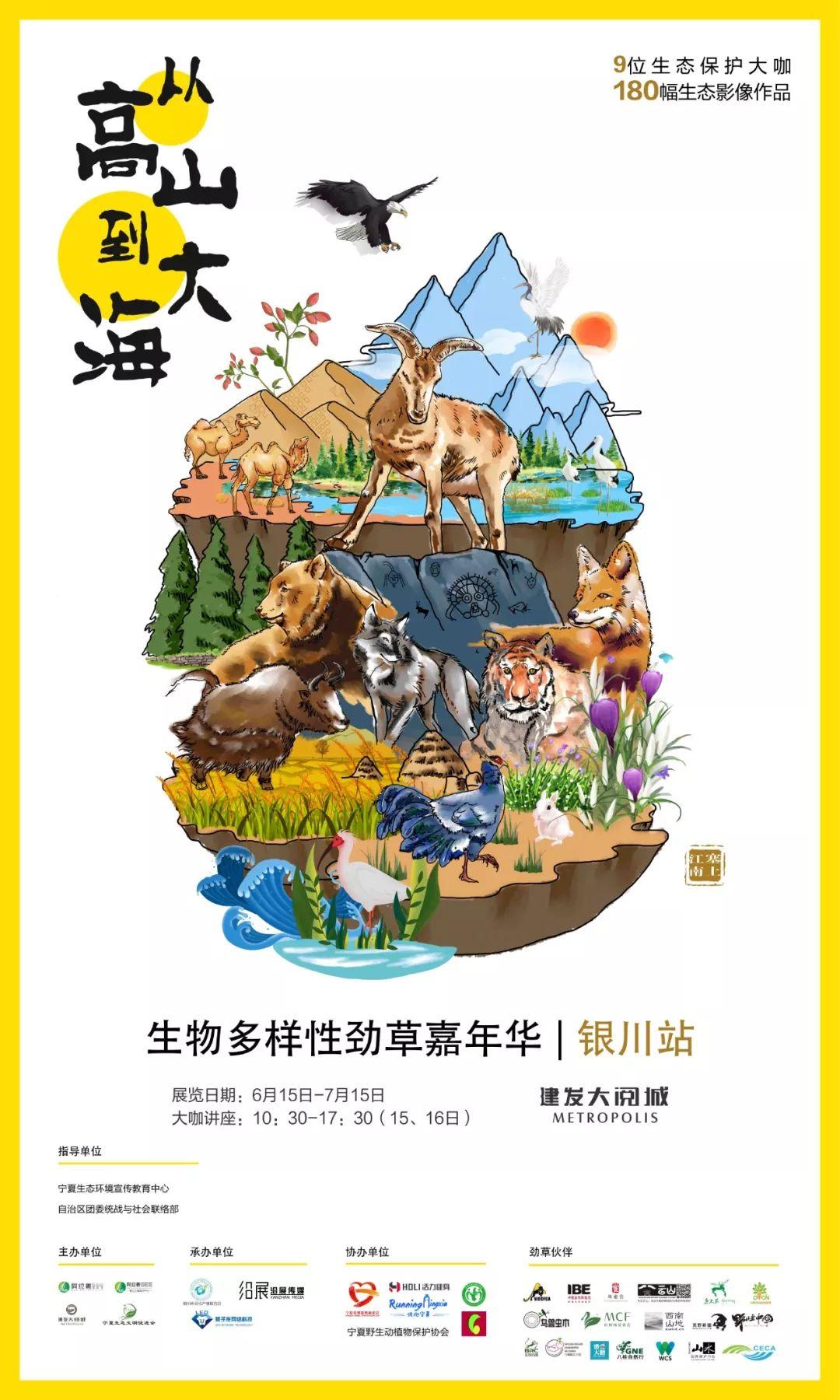重庆市疫情报告与银川最新消息，双城防控成效显著，社会生活逐步回归常态