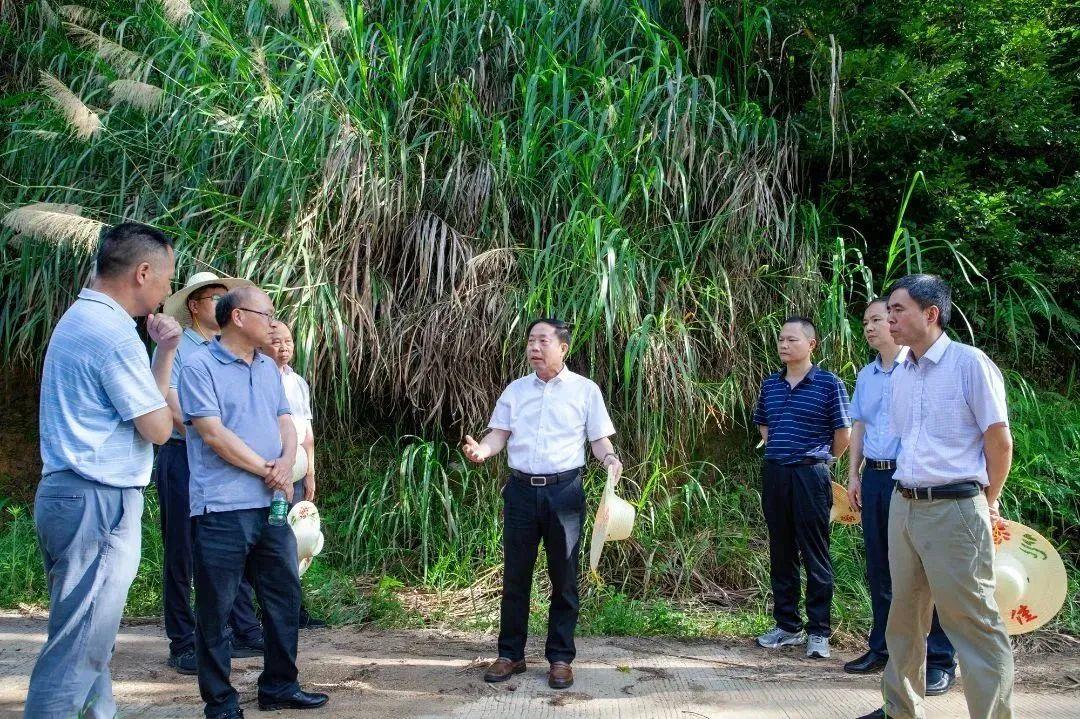 福建省疫情情况报告与上海市最新动态
