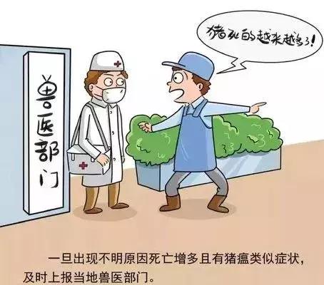 福建省疫情情况报告与辽宁省最新动态
