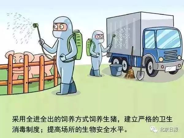 重庆甘肃疫情下的挑战与应对