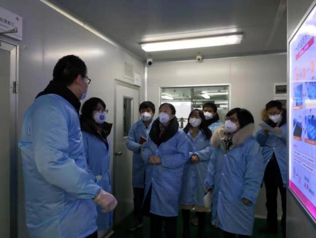 三年疫情是什么病毒类型