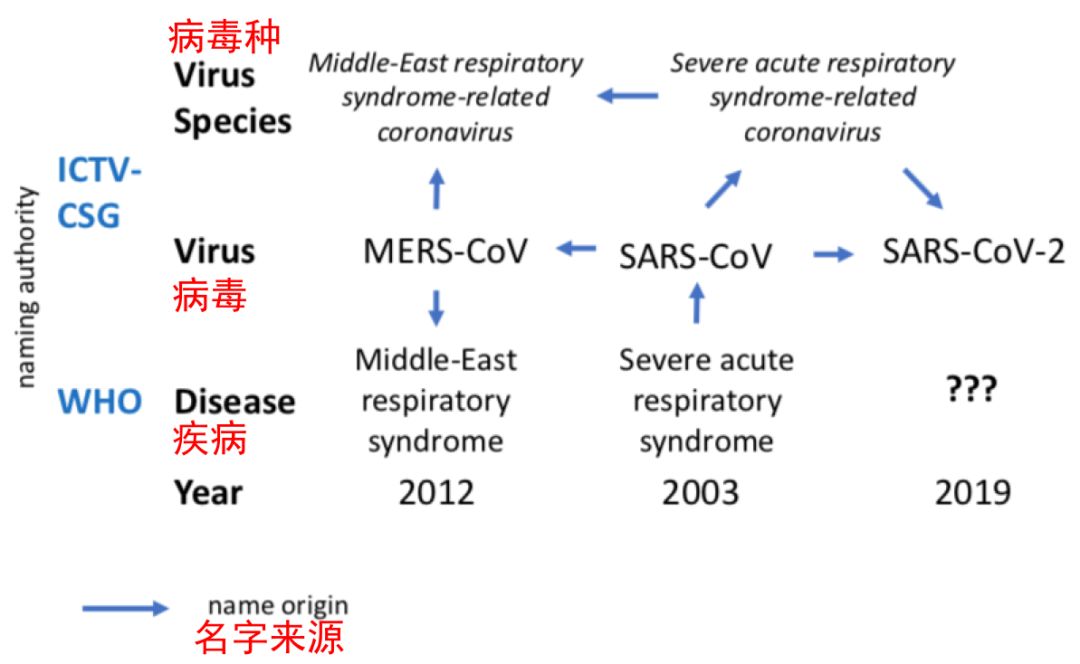 疫情病毒叫啥？——从命名到认知的科学与人文思考