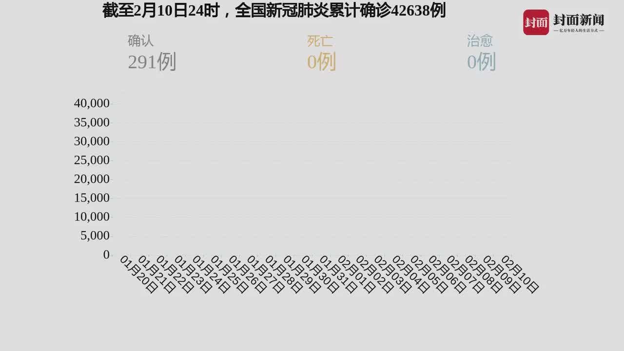 肺炎疫情发生时间，回顾与反思