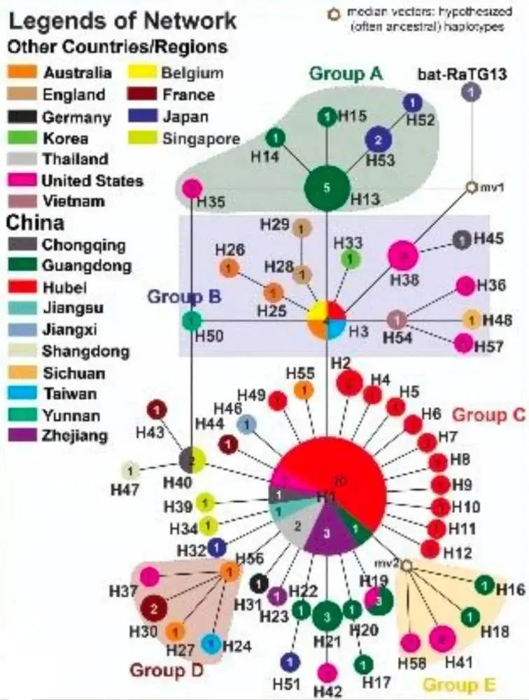 中国疫情何时开始？追溯新冠病毒的起源与初期传播