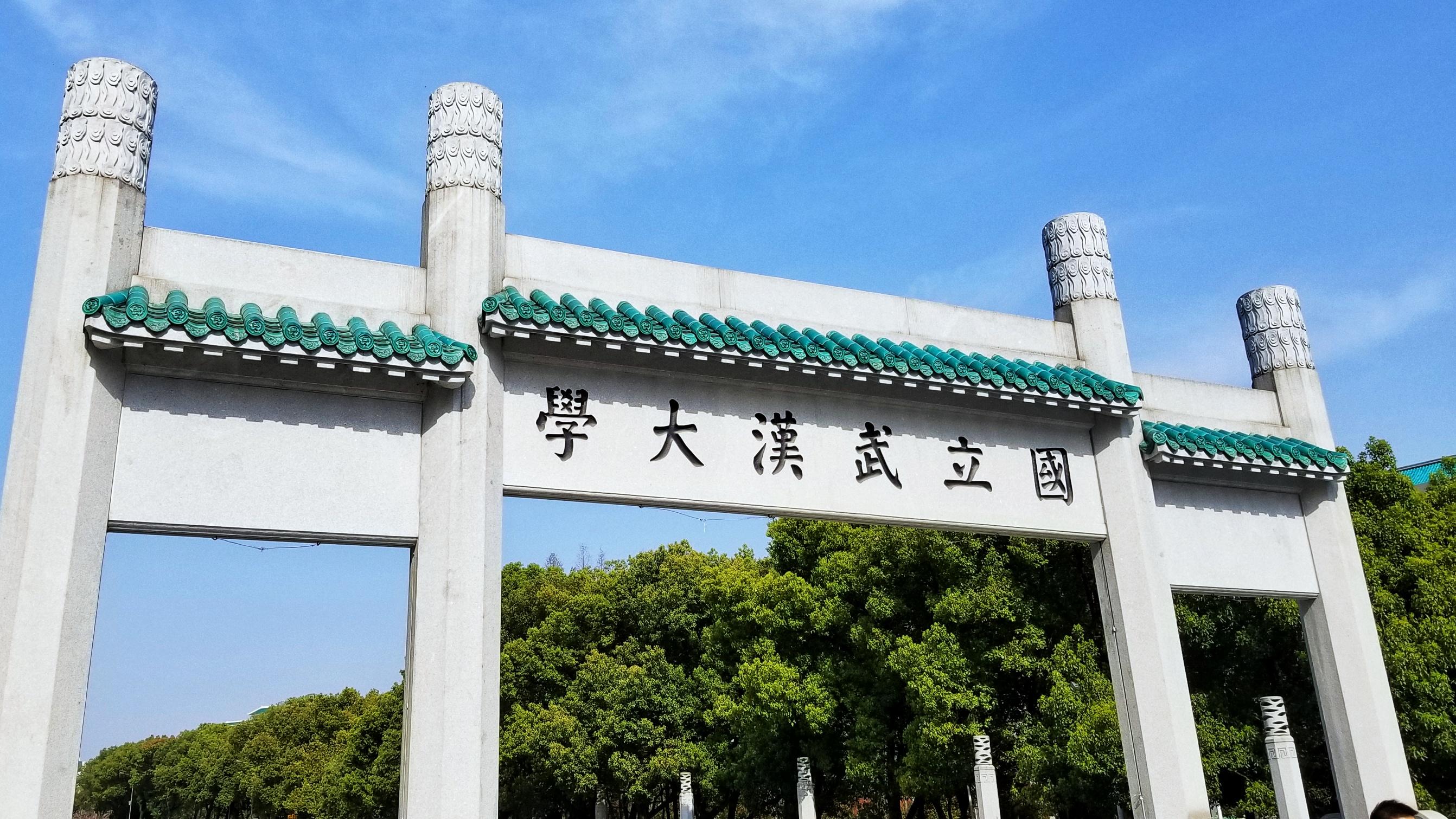 武汉疫情爆发，2019年末的全球健康危机