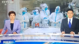 20年疫情是什么病毒