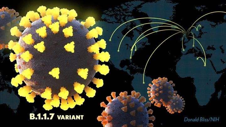 新冠病毒的全名及其背后的科学故事