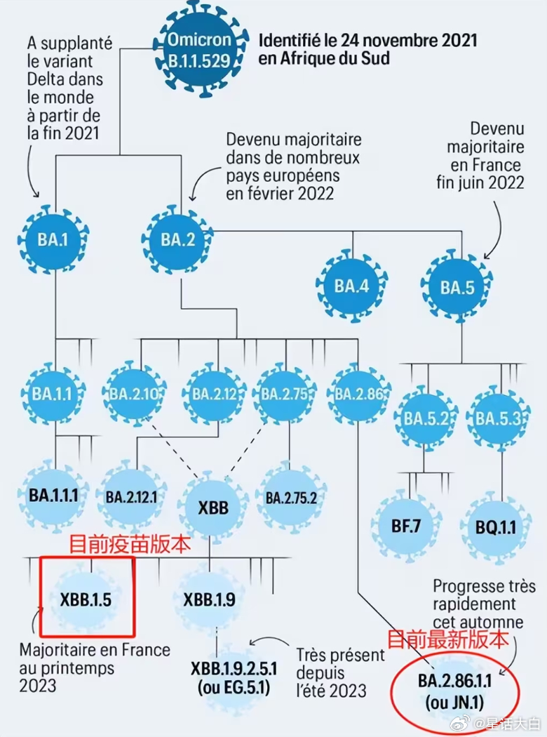 疫情病毒叫什么来着？——从命名到认知的全球抗疫历程