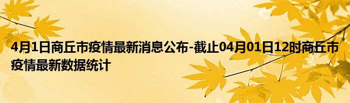 沈丘疫情最新数据消息，今日新增病例情况及防控措施分析