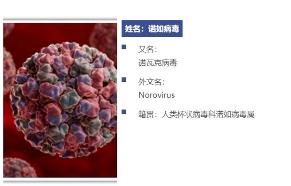 3年疫情叫什么病毒