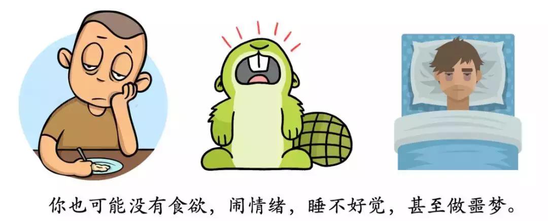 艰难疫情下的私人辅导12话，在困境中寻找希望与成长