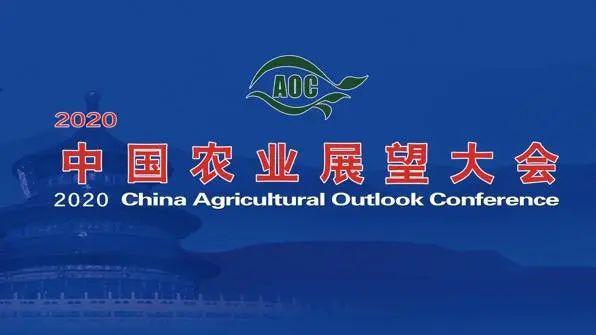 2020年疫情是什么时候开始？回顾全球抗疫的起点与历程
