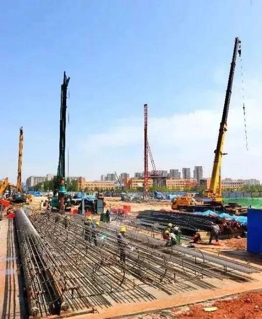 2024年12月，疫情再度来袭，我们该如何应对？