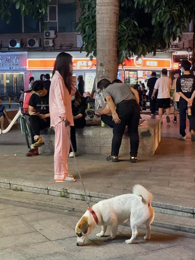 广州疫情何时解封？全面解析疫情现状与解封条件