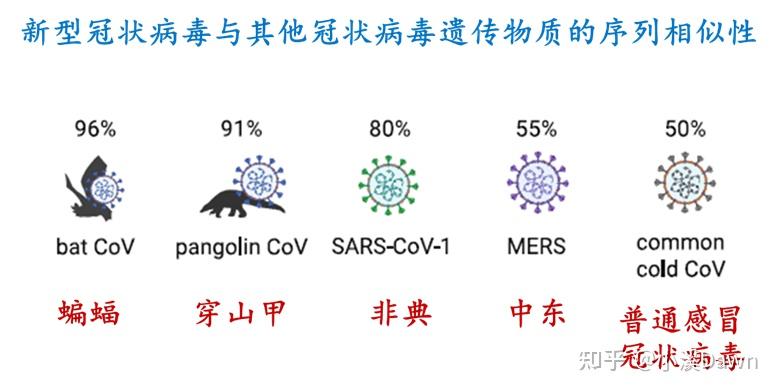 新冠病毒，名称、特征与全球影响