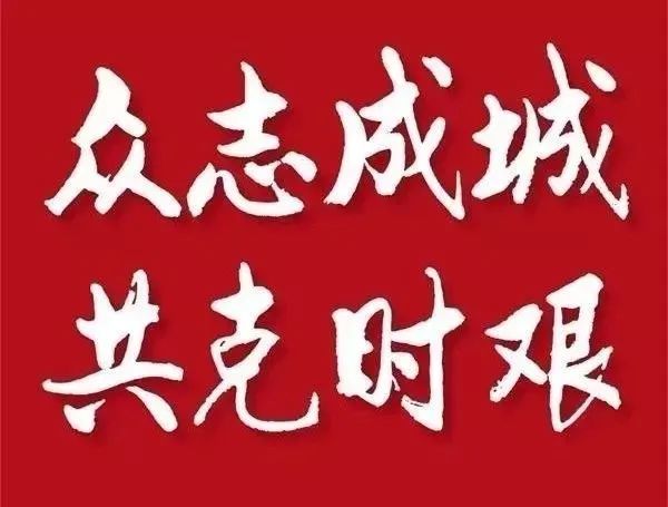 众志成城，共克时艰——抗击疫情的小短文