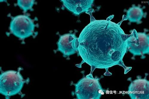 疫情的那个病毒叫什么？——新冠病毒的起源、传播与影响