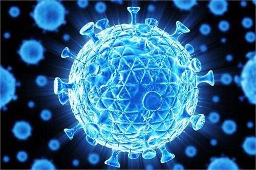 武汉疫情何时开始？追溯新冠病毒的起源与初期传播