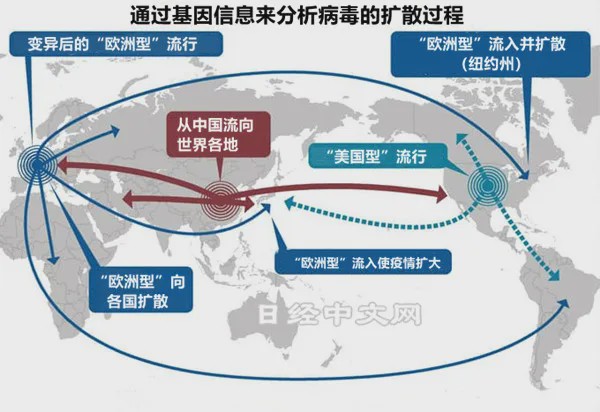 疫情哪里开始发生，追溯新冠病毒的起源与全球传播