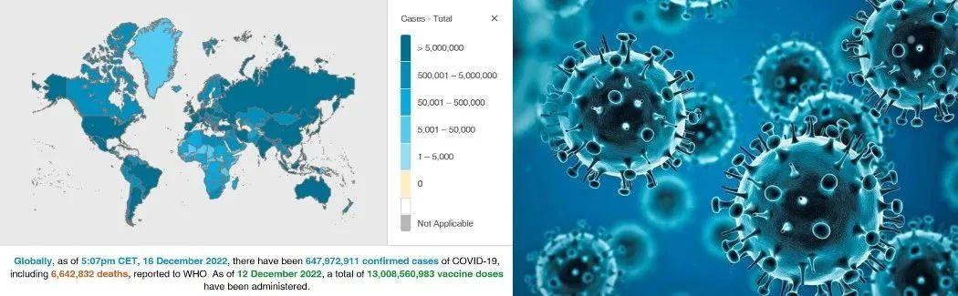 这些年的疫情有几种，从SARS到COVID-19的全球健康挑战