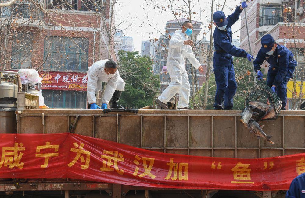 我国疫情封城时间线回顾，从初现到全面防控的历程
