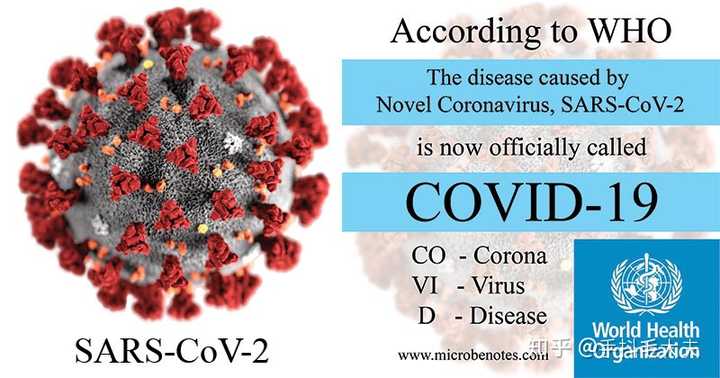 新冠病毒全名解析，从SARS-CoV-2到COVID-19的全球影响
