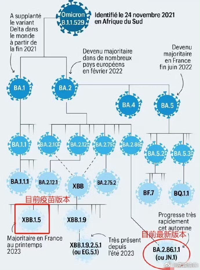 疫情病毒的名称叫什么？——从命名规则到全球影响