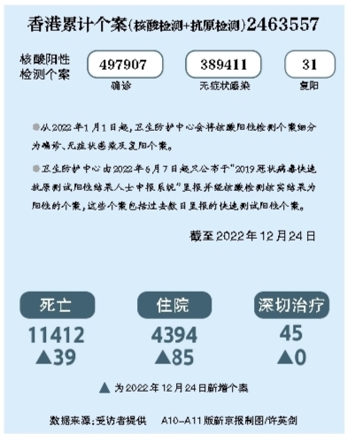 疫情放开后死亡人数最新消息，数据背后的真相与反思