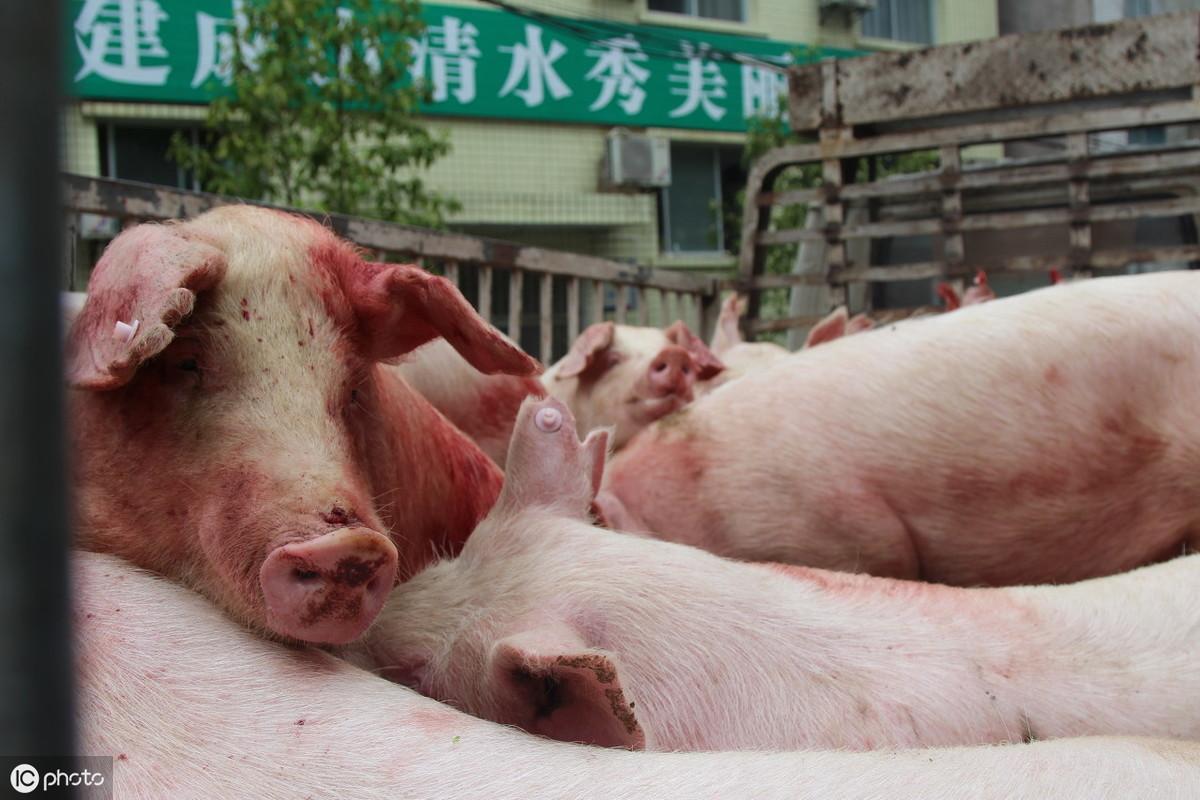 中国疫情为何突然消失？解析背后的多重因素