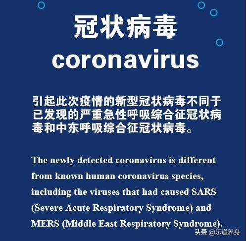 溯源之谜，全球肺炎疫情最初爆发的争议与科学探索