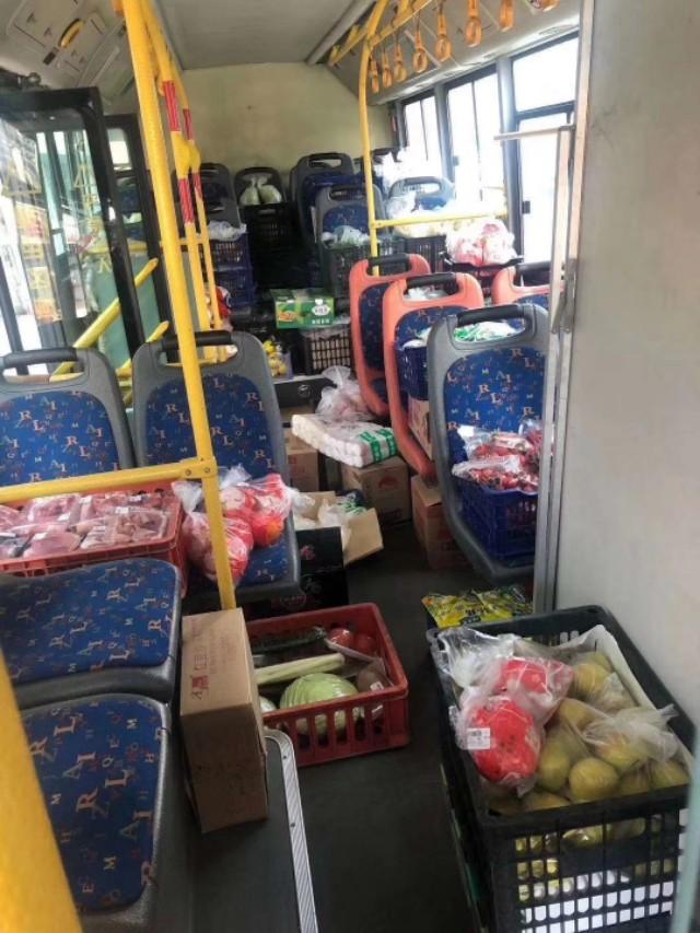 封锁时光，全球疫情封锁的起点与深远影响