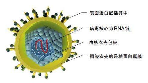 2020年初春，北京与新冠病毒的初次交锋