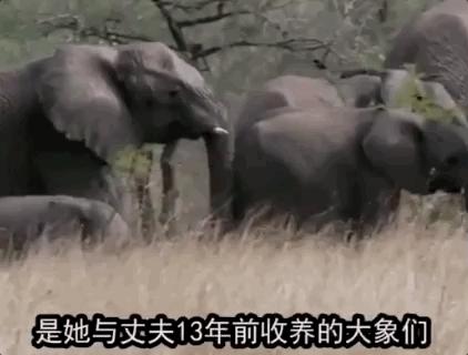 2019年疫情什么时候解封的
