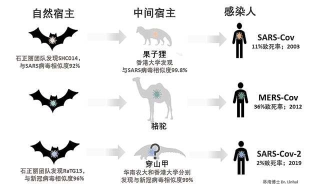 病毒之名，疫情时代下的命名与身份