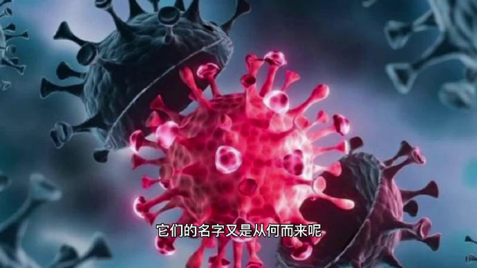 病毒之名，疫情时代下的命名与身份