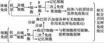 2020，人类集体记忆中的分水岭——疫情究竟从哪一年开始改写世界？