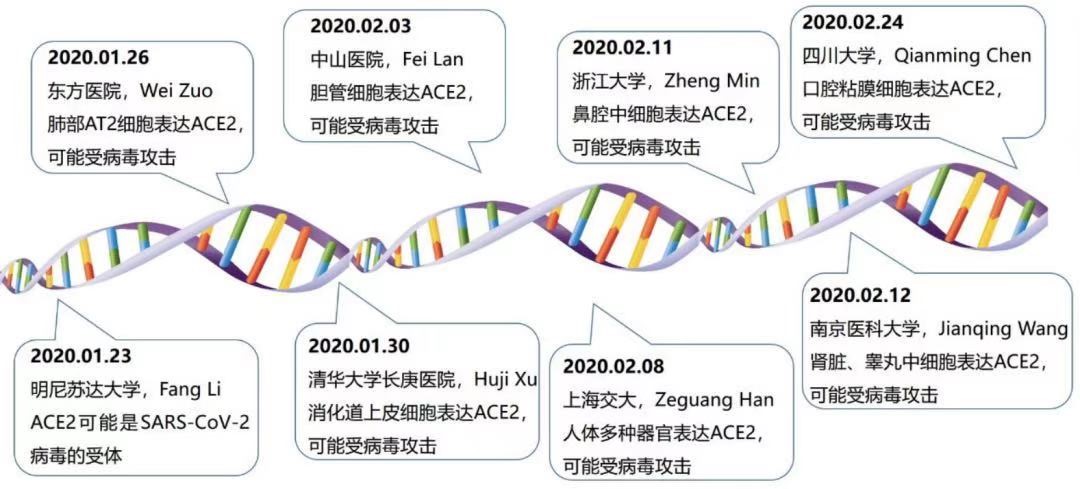 2020，人类纪元的断裂线——当疫情重塑我们的时间感知