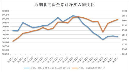 疫情期间什么股票涨得最多