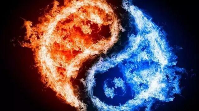 2019，当人类集体按下暂停键的那一年